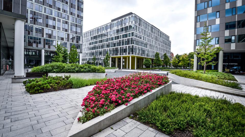 Megbízható zöld fejlesztő